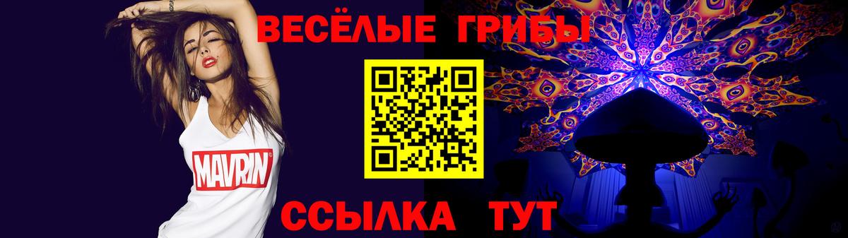 Чайковский  Галлюциногенные грибы Psilocybine cubensis  Вход с VPN  Галлюциногенные грибы Cubensis 